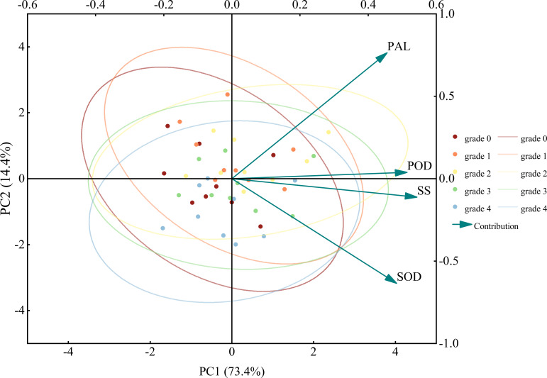 Figure 10
