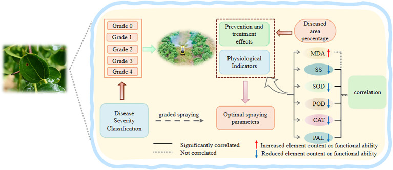 Figure 12