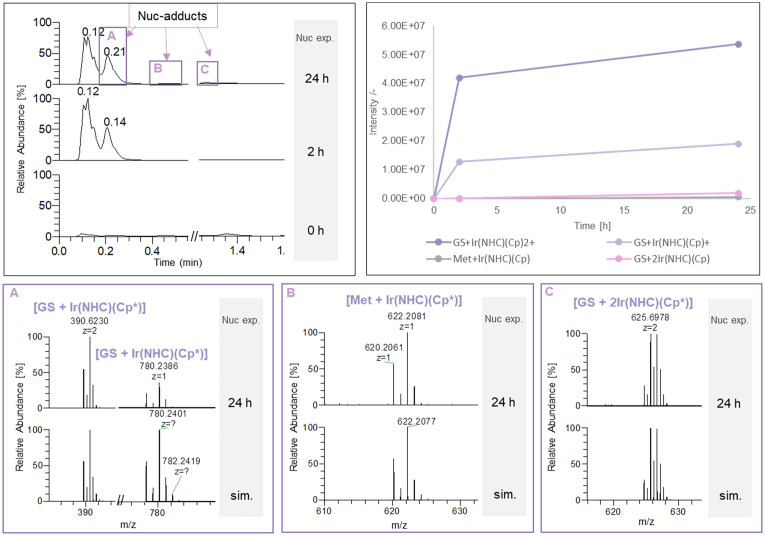 Fig. 7