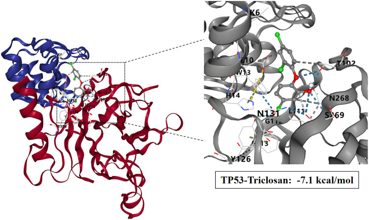 Fig 7