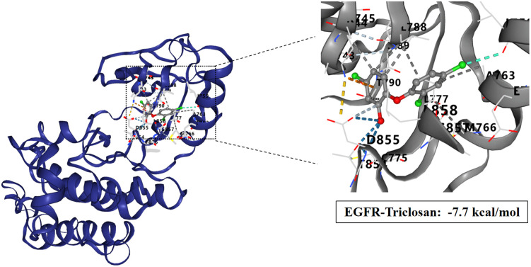 Fig 8