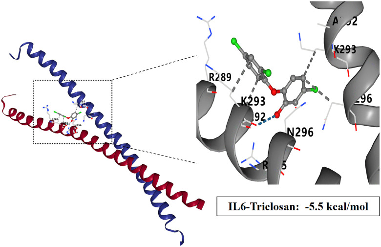 Fig 10