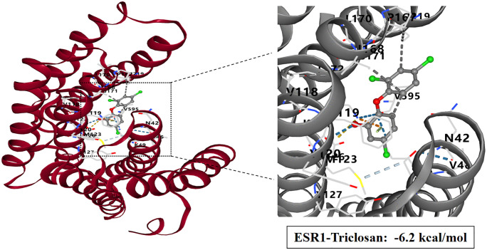 Fig 13