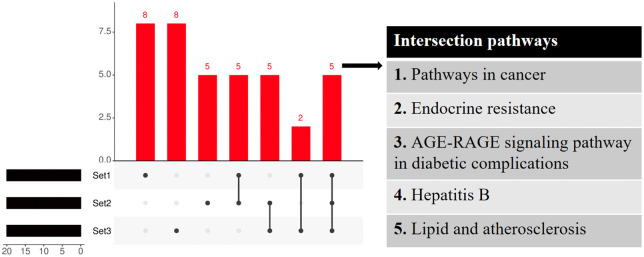 Fig 17