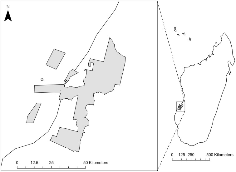 Fig 1