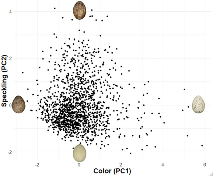 Fig 5