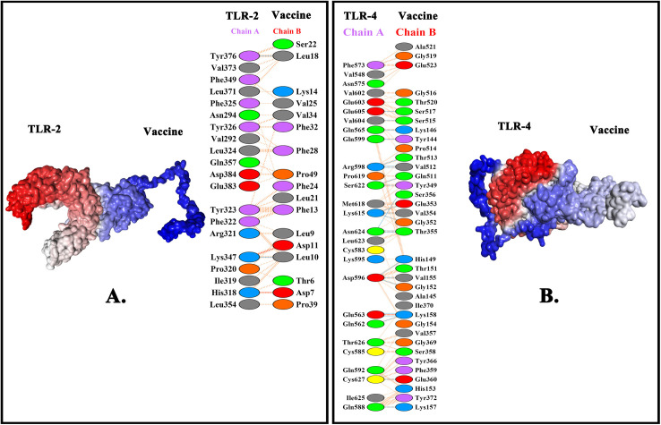 Fig 6