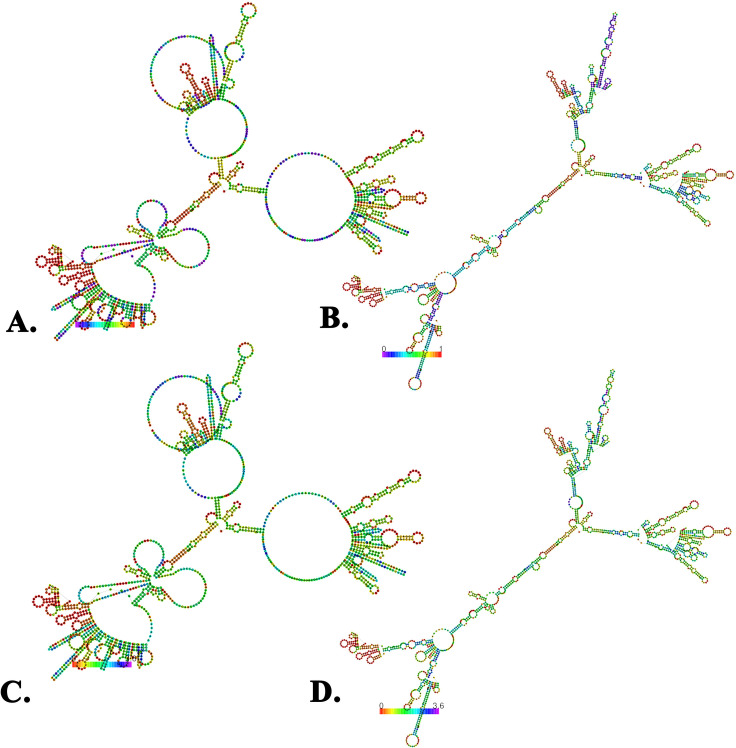 Fig 10