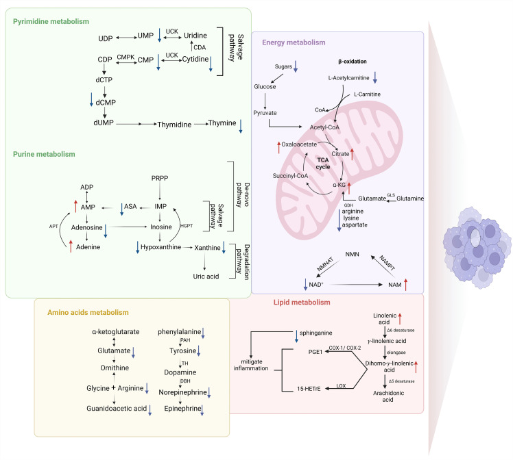Fig 8