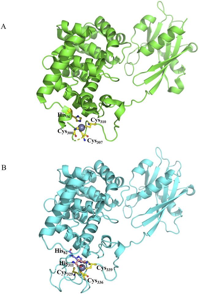 FIGURE 9