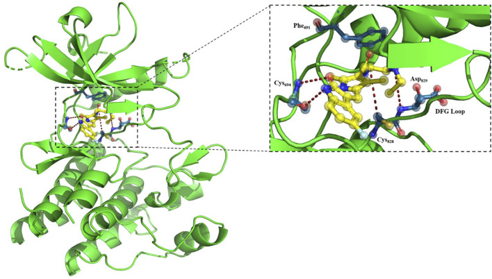 FIGURE 10