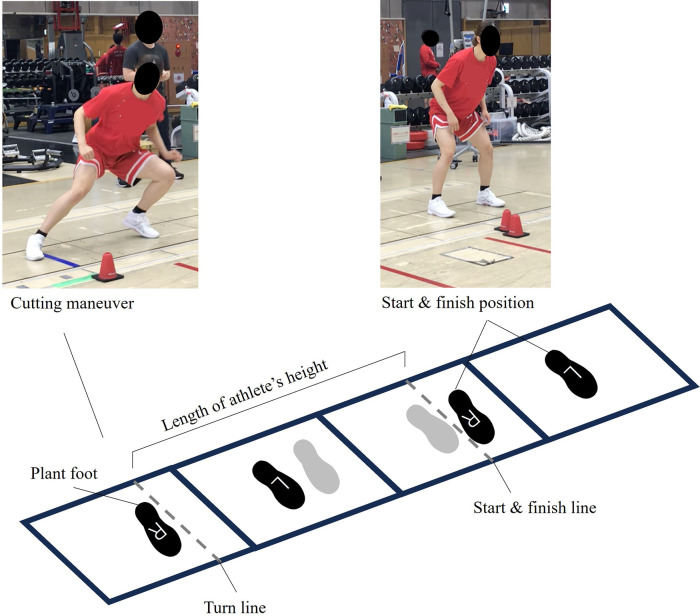 Figure 1