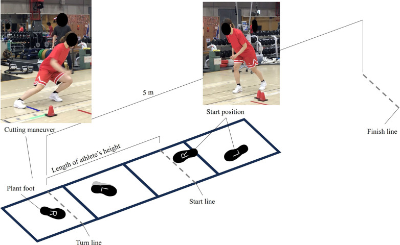 Figure 2