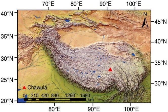 FIGURE 1