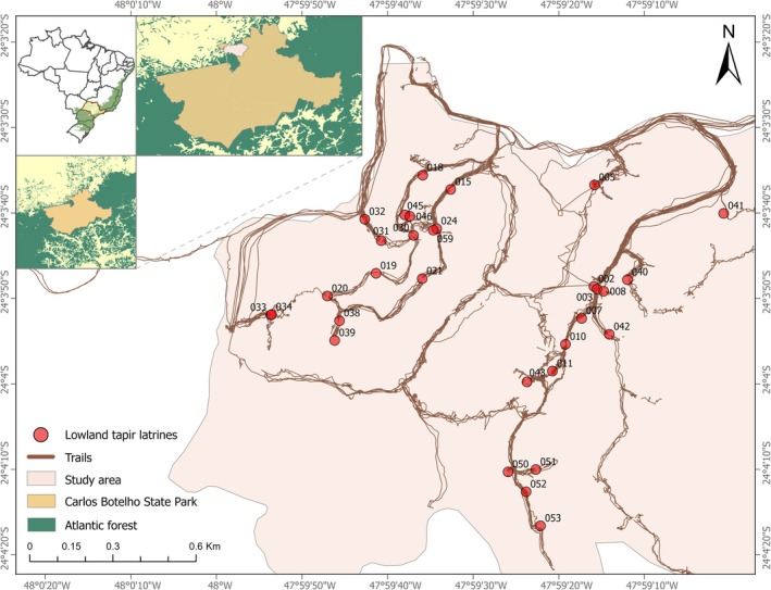 FIGURE 1