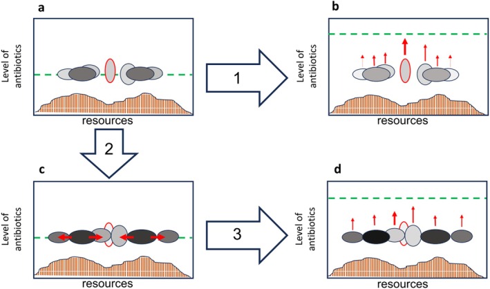 FIGURE 2