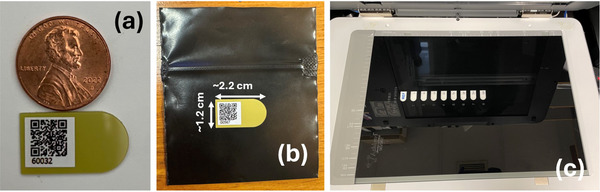 FIGURE 1