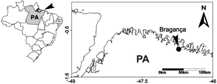 FIGURE 1