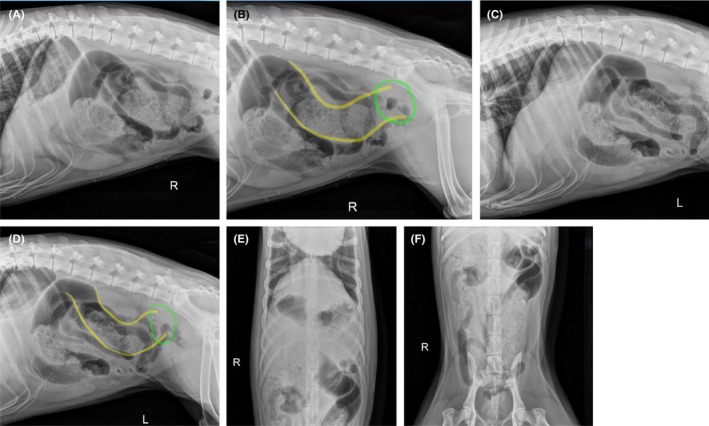 FIGURE 1