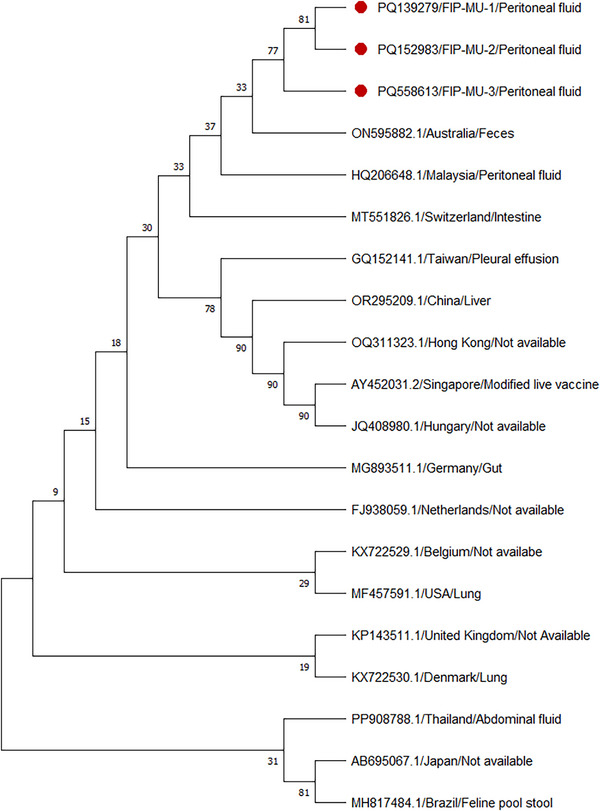 FIGURE 2
