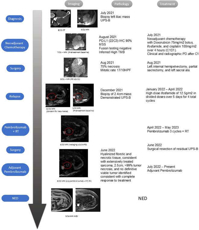 Figure 1