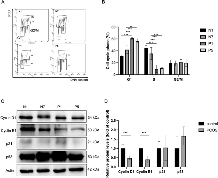 Figure 4