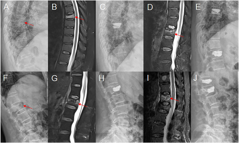 Figure 1