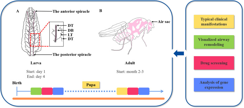 Figure 2