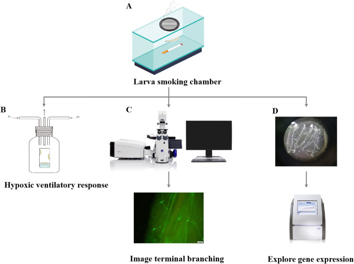 Figure 3