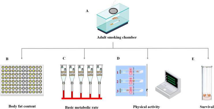 Figure 4