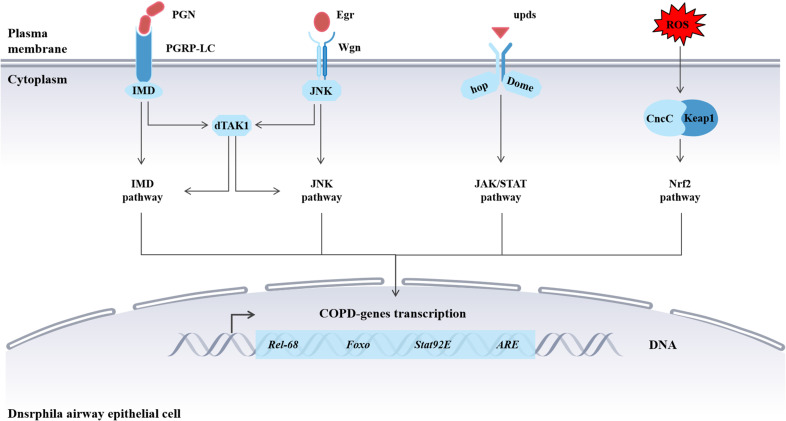 Figure 5