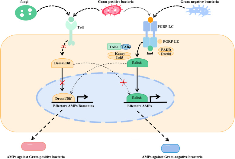 Figure 6