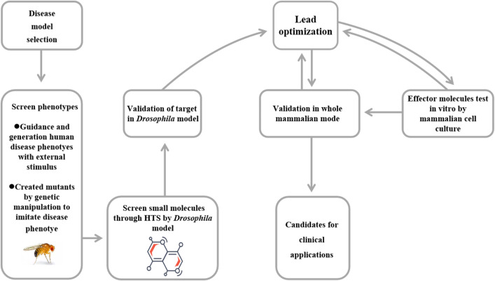 Figure 7