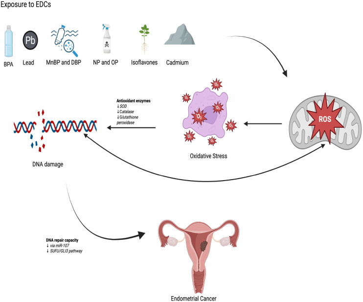 Figure 4
