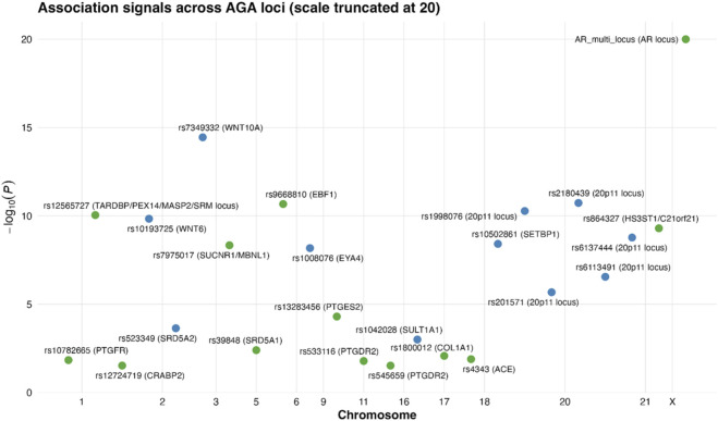 FIGURE 2