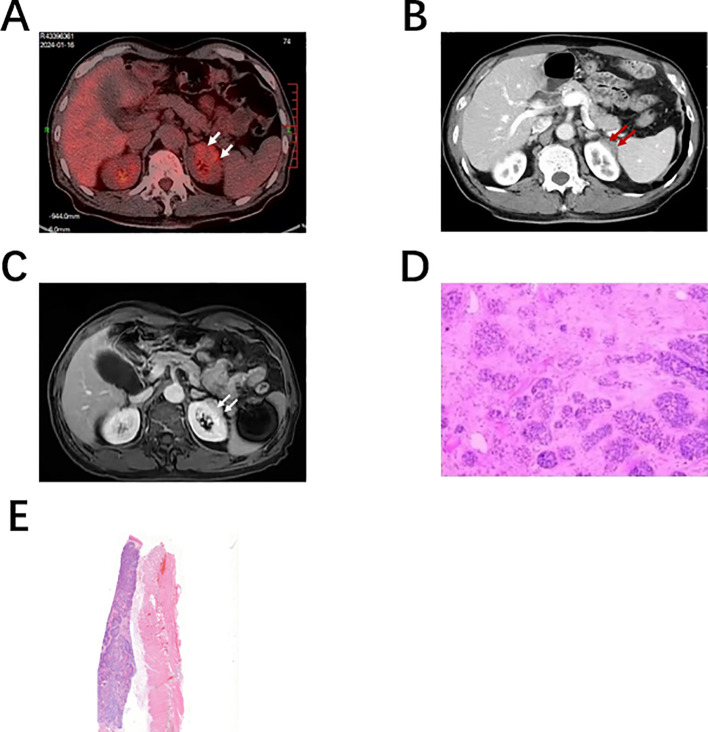 Figure 1