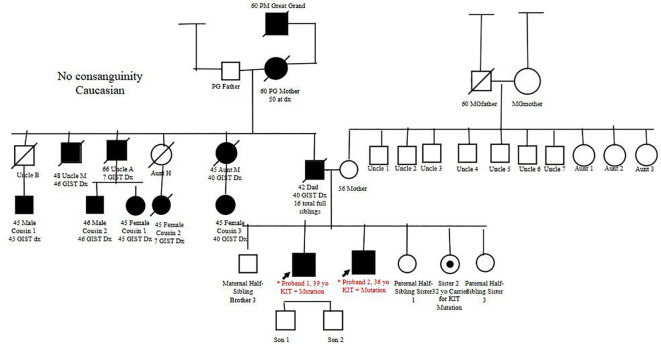 Figure 1