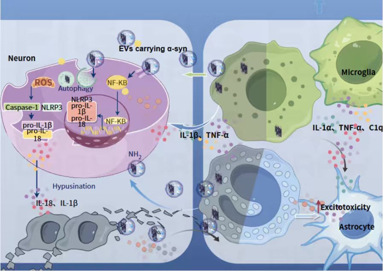 Figure 3