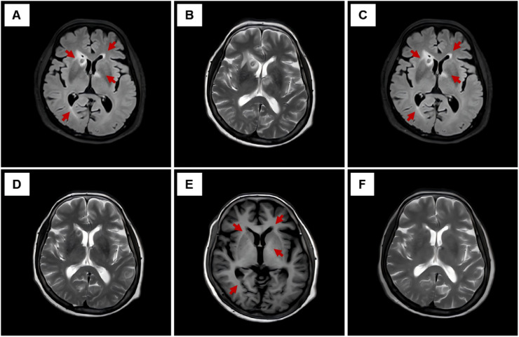 Figure 2