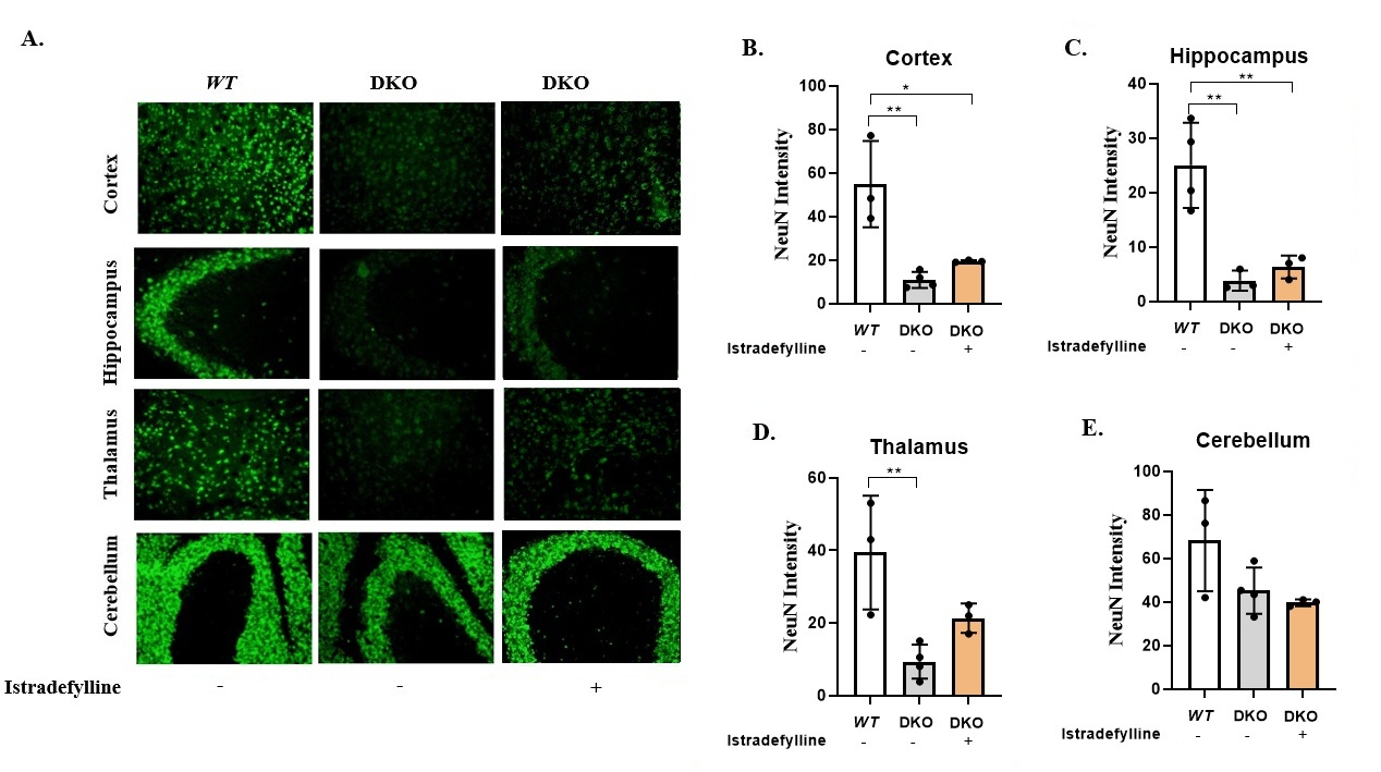 Figure 16