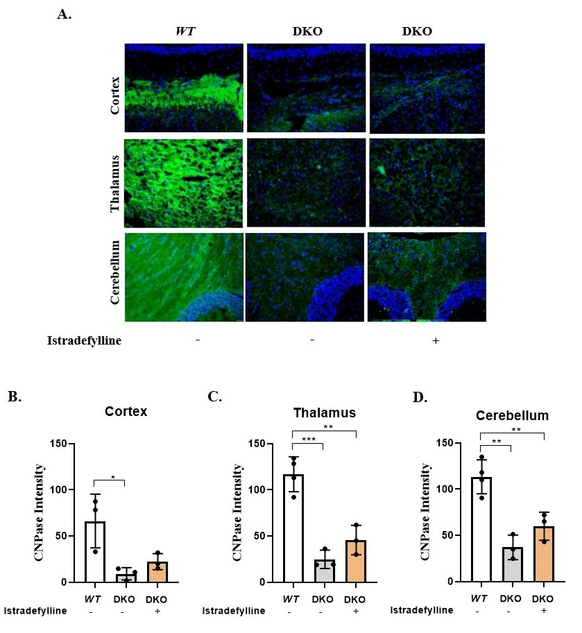 Figure 17