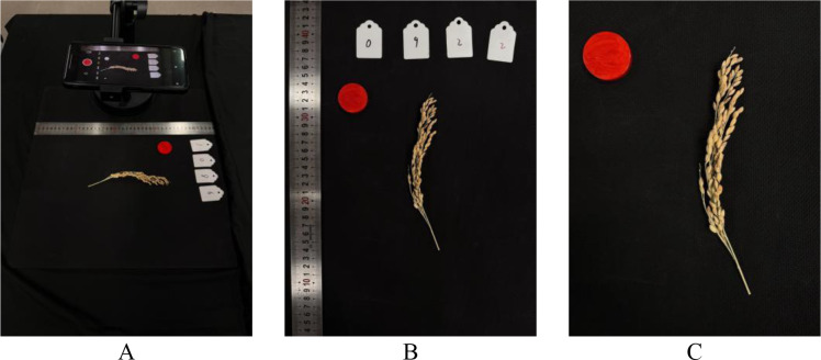 Figure 1