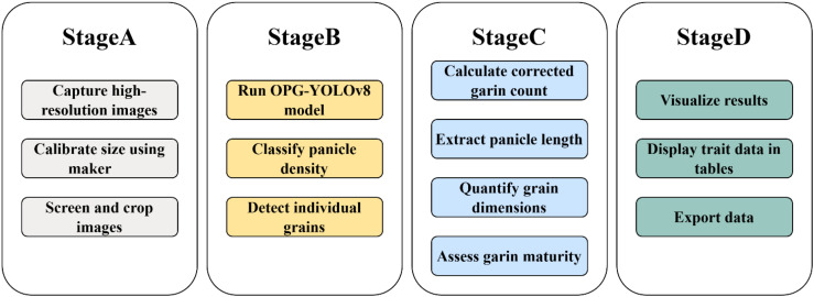 Figure 3