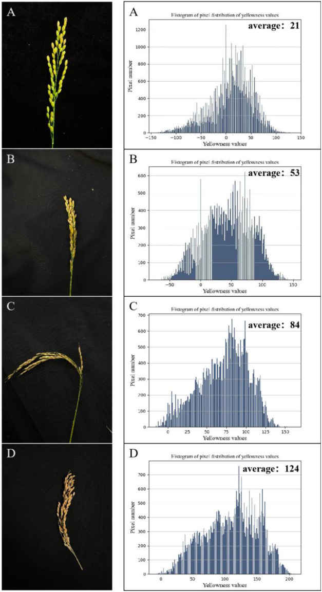 Figure 6