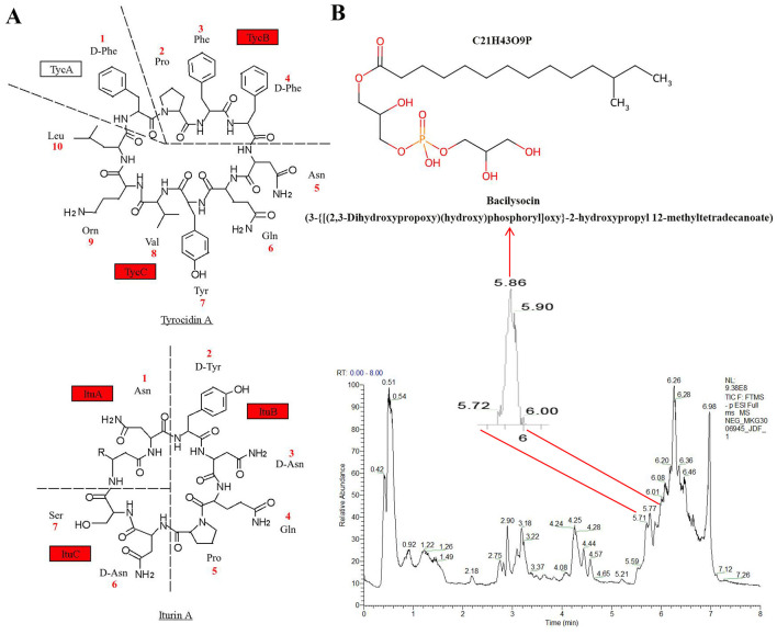 Figure 5