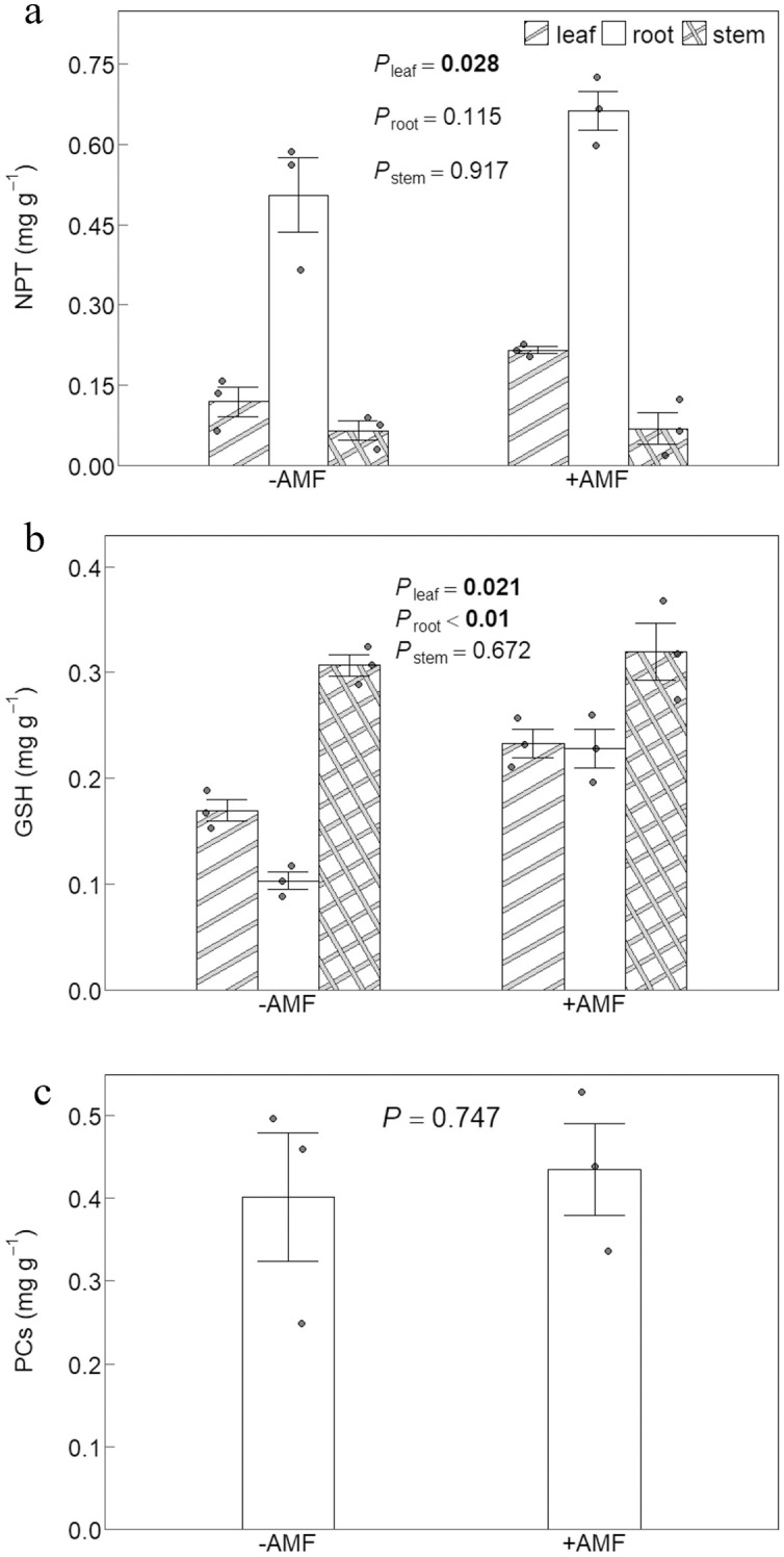 Figure 5