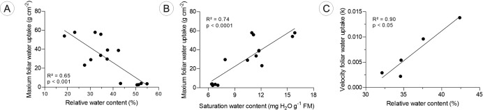Figure 7