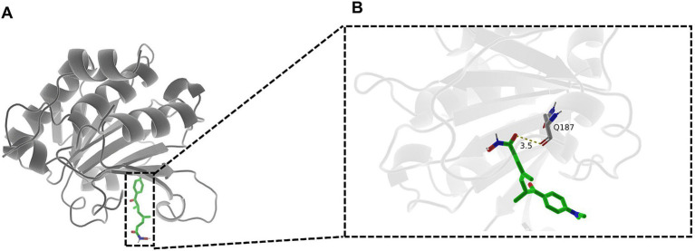 Figure 9