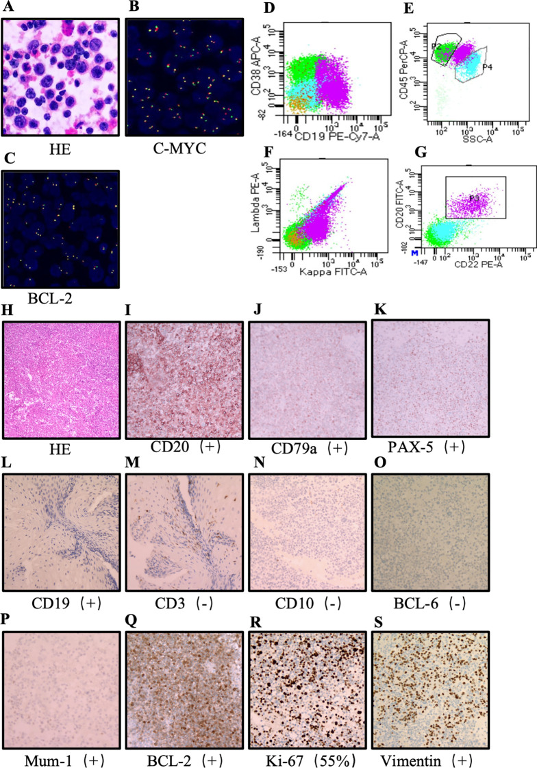Figure 3