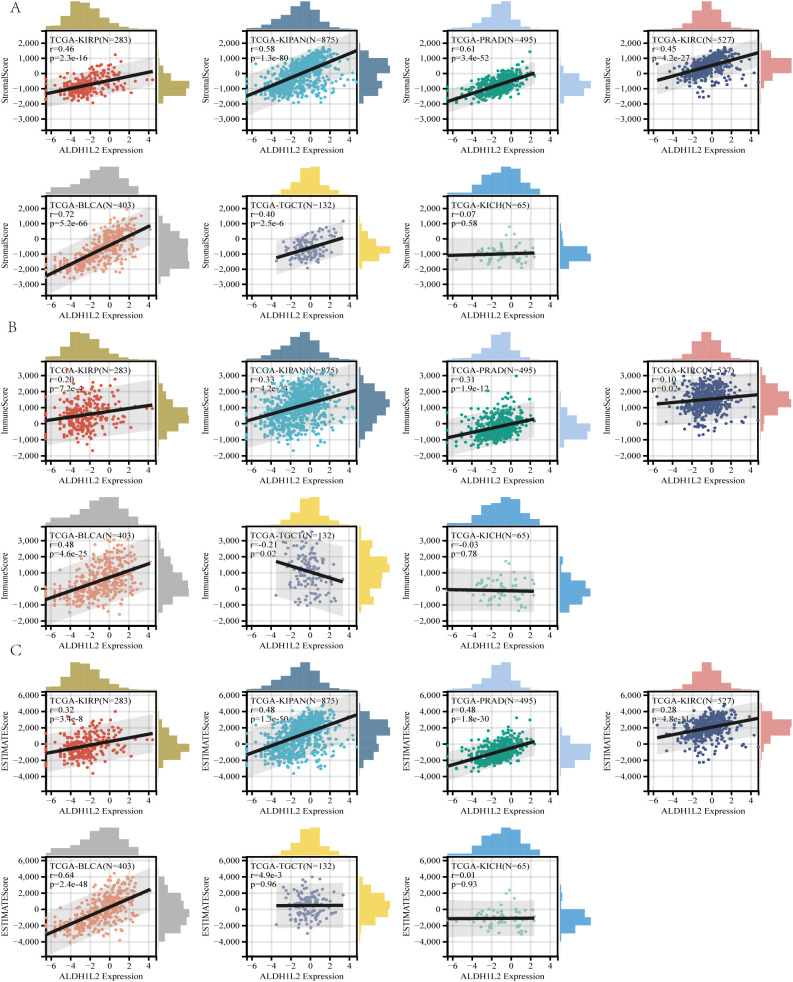 Figure 6